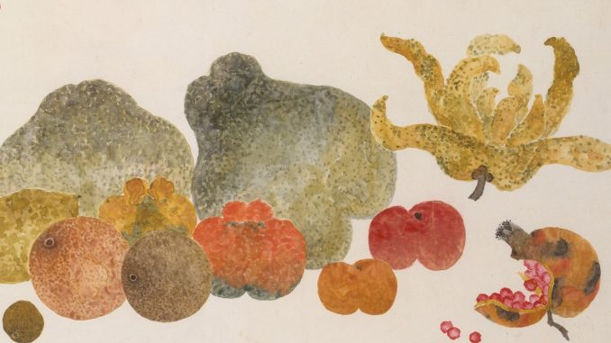 Ding Fuzhi, "近代 丁輔之 雜果圖 冊頁 (Fruit)," album leaf and ink and color on paper, 1945, Gift of Robert Hatfield Ellsworth, in memory of La Ferne Hatfield Ellsworth, 1986, The Metropolitan Museum of Art.