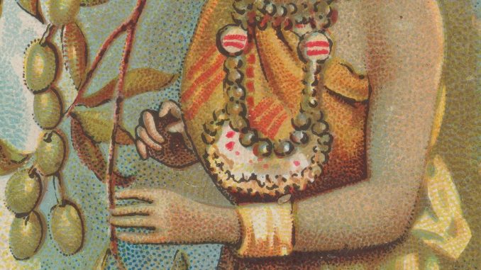 George S. Harris & Sons, "Olive, from the Fruits series (N12) for Allen & Ginter Cigarettes Brands," commercial color lithograph, 1891, The Jefferson R. Burdick Collection, Gift of Jefferson R. Burdick, The Metropolitan Museum of Art. George S. Harris & Sons, "Olive, from the Fruits series (N12) for Allen & Ginter Cigarettes Brands," commercial color lithograph, 1891, The Jefferson R. Burdick Collection, Gift of Jefferson R. Burdick, The Metropolitan Museum of Art.
