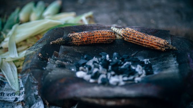 Fancycrave, "Two Grilled Corn Cobs Beside Charcoal," photograph, on Unsplash.