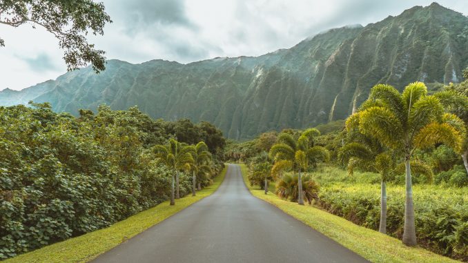@wild_away photograph of Ho'omaluhia Botanical Garden, Kaneohe, O'ahu, Hawai'i, United States, on Unsplash.