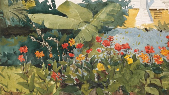 Winslow HoWinslow Homer, "Flower Garden and Bungalow, Bermuda," watercolor and graphite on off-white wove paper, 1899. Amelia B Lazarus Fund, 1910. Metropolitan Museum of Art. Flower Garden and Bungalow, Bermuda - MET (3)